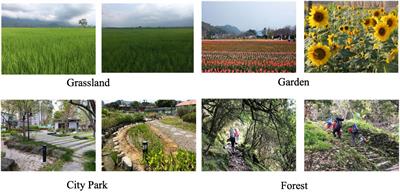 Understanding how virtual reality forest experience promote physiological and psychological health for patients undergoing hemodialysis